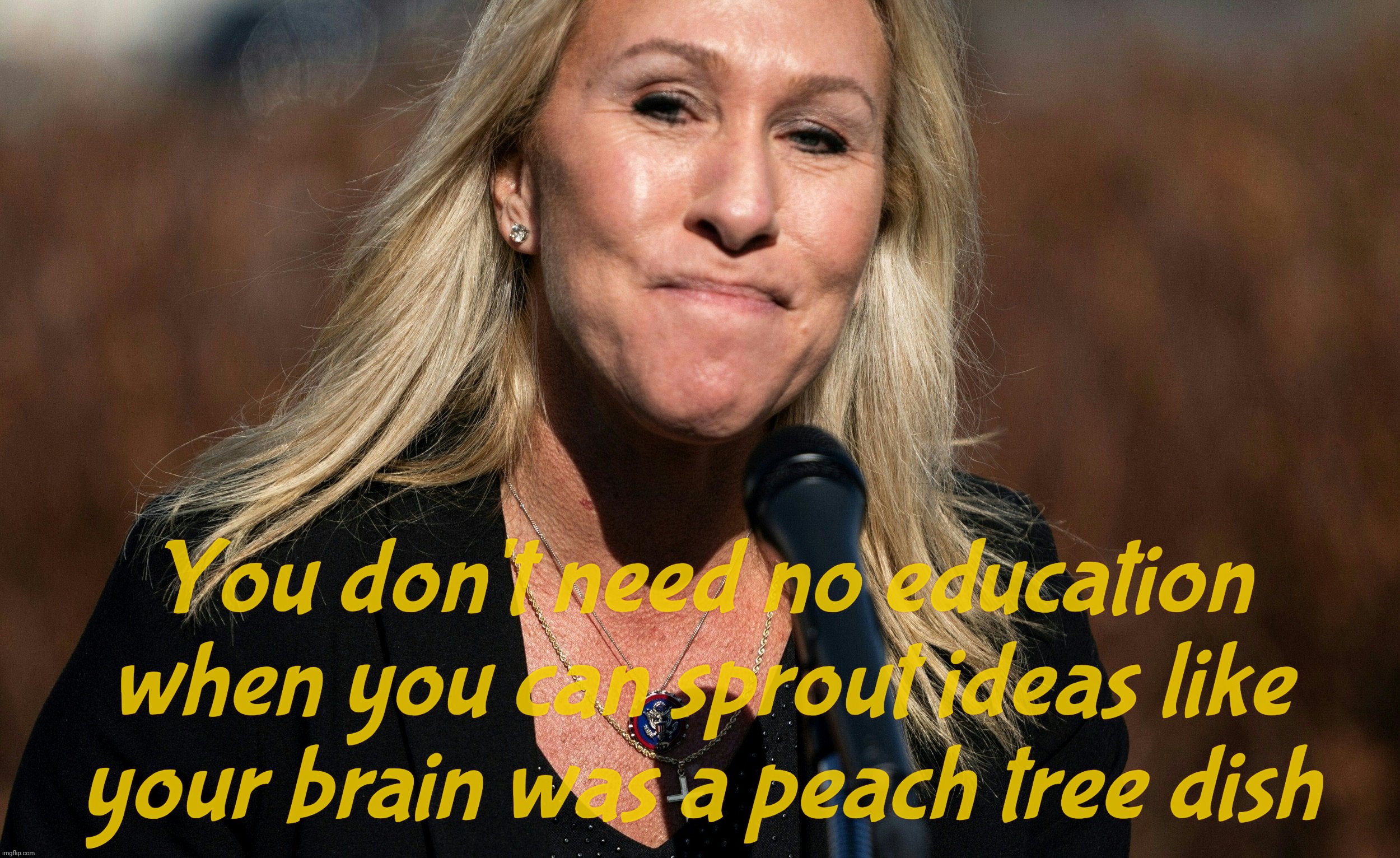 You don't need no education when you can sprout ideas like
your brain was a peach tree dish | made w/ Imgflip meme maker