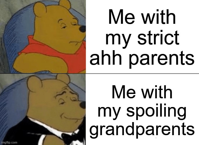 Very Relatable | Me with my strict ahh parents; Me with my spoiling grandparents | image tagged in memes,tuxedo winnie the pooh,funny,funny memes,xd | made w/ Imgflip meme maker