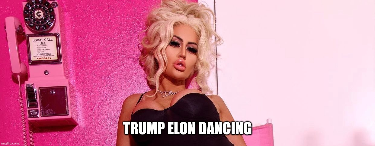 Danii Banks | TRUMP ELON DANCING | image tagged in danii banks | made w/ Imgflip meme maker