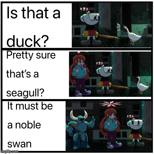 Name that bird | image tagged in name that bird | made w/ Imgflip meme maker