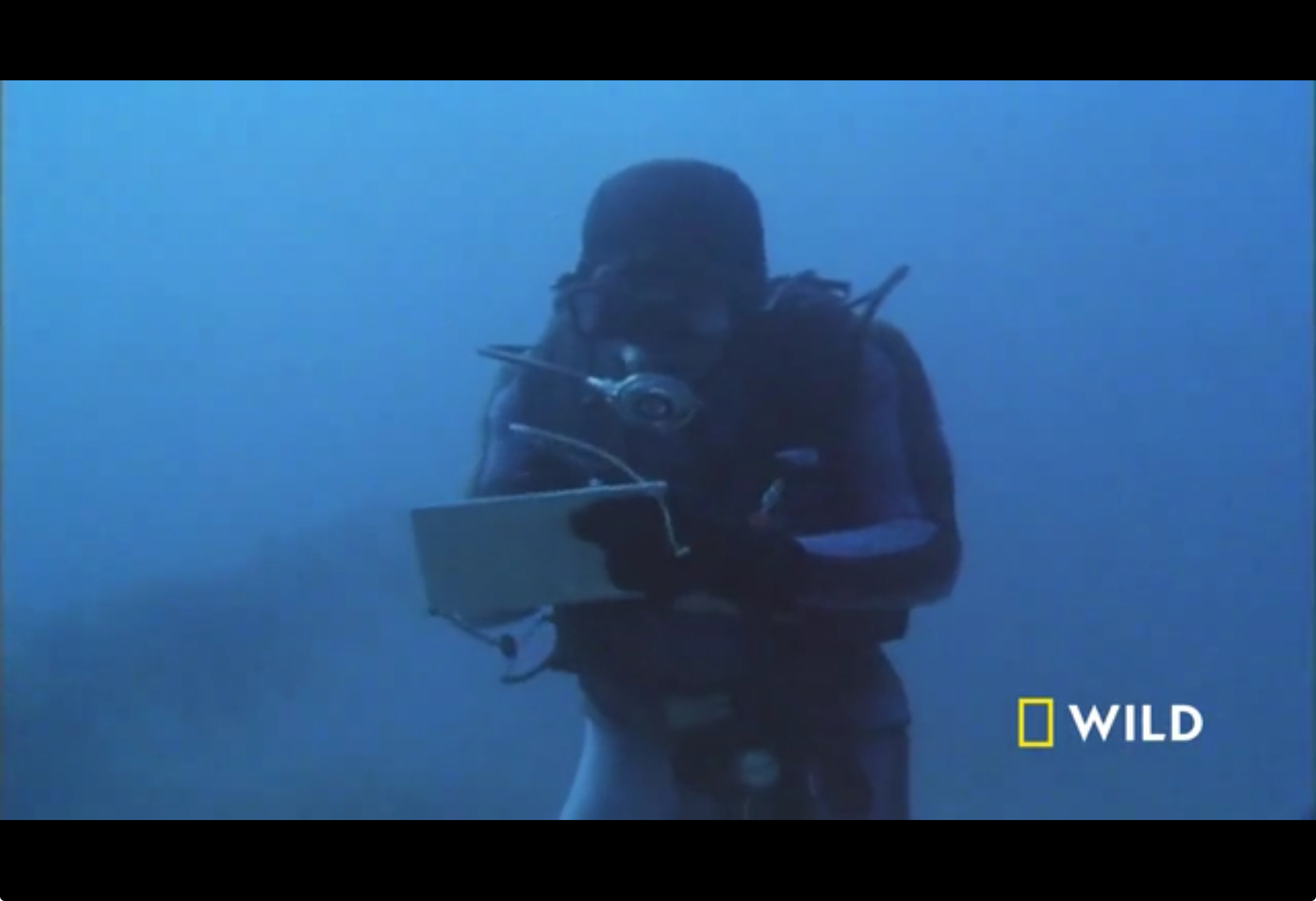 High Quality Writing underwater Blank Meme Template