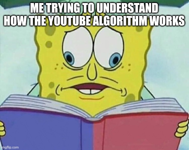 cross eyed spongebob | ME TRYING TO UNDERSTAND HOW THE YOUTUBE ALGORITHM WORKS | image tagged in cross eyed spongebob | made w/ Imgflip meme maker