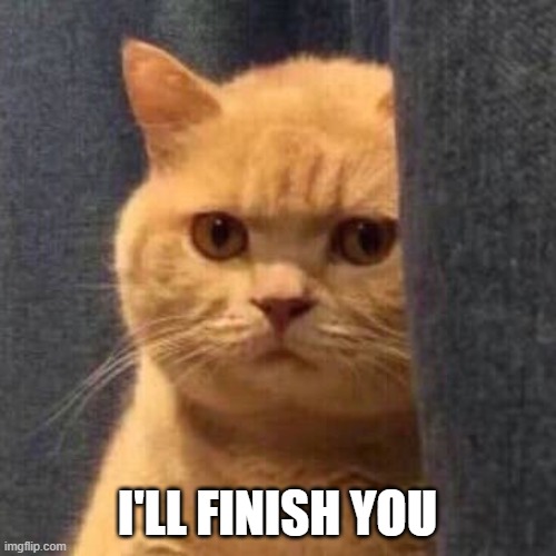 Cat concern | I'LL FINISH YOU | image tagged in cat concern | made w/ Imgflip meme maker