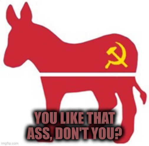 Dear RINOs, or Time Is Not On Your Side | YOU LIKE THAT ASS, DON'T YOU? | image tagged in democrats communist donkey,identity,primary,vote | made w/ Imgflip meme maker