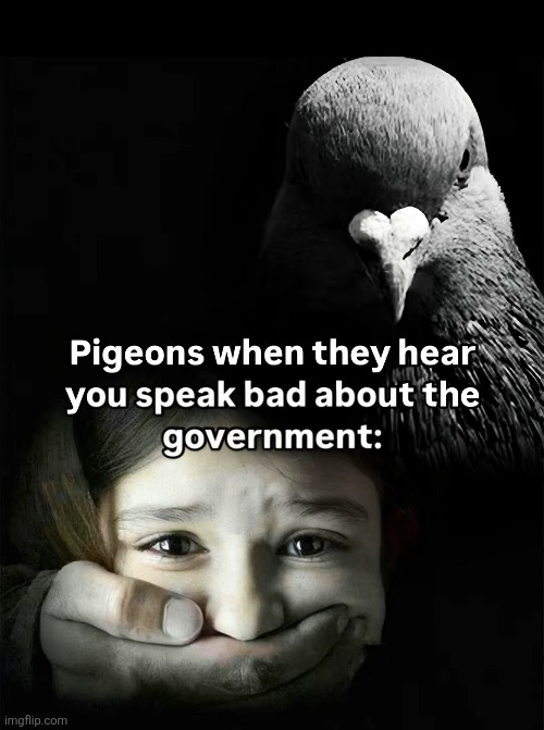 image tagged in memes | made w/ Imgflip meme maker