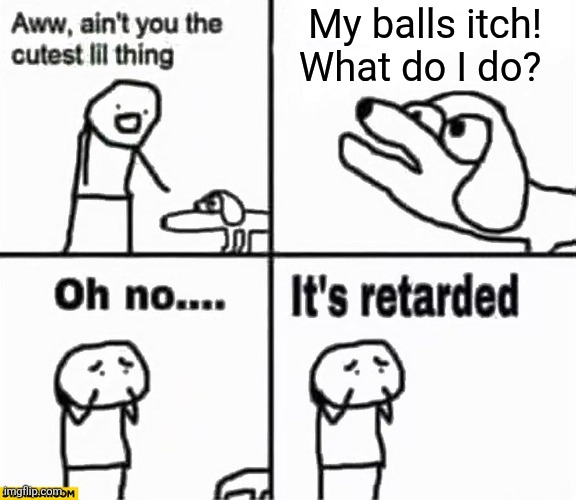 Oh no it's retarded! | My balls itch! What do I do? | image tagged in oh no it's retarded,dogs,licking,balls | made w/ Imgflip meme maker