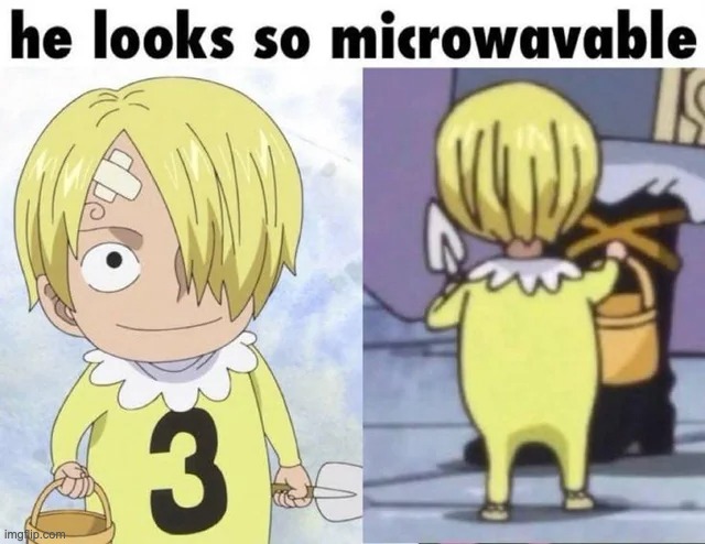 Shall I microwave him? | image tagged in one piece,cute | made w/ Imgflip meme maker