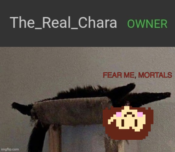 HOLY SHIT! | image tagged in fear me mortals | made w/ Imgflip meme maker
