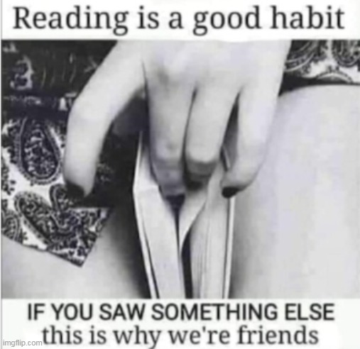 Book Mark | image tagged in reading meme | made w/ Imgflip meme maker