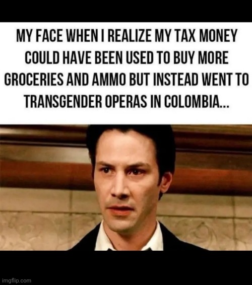 Yep, that's the look | image tagged in democrats,morons,ruin,america | made w/ Imgflip meme maker