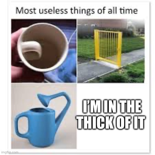 The Thick Of It | I’M IN THE THICK OF IT | image tagged in most useless things,ksi | made w/ Imgflip meme maker