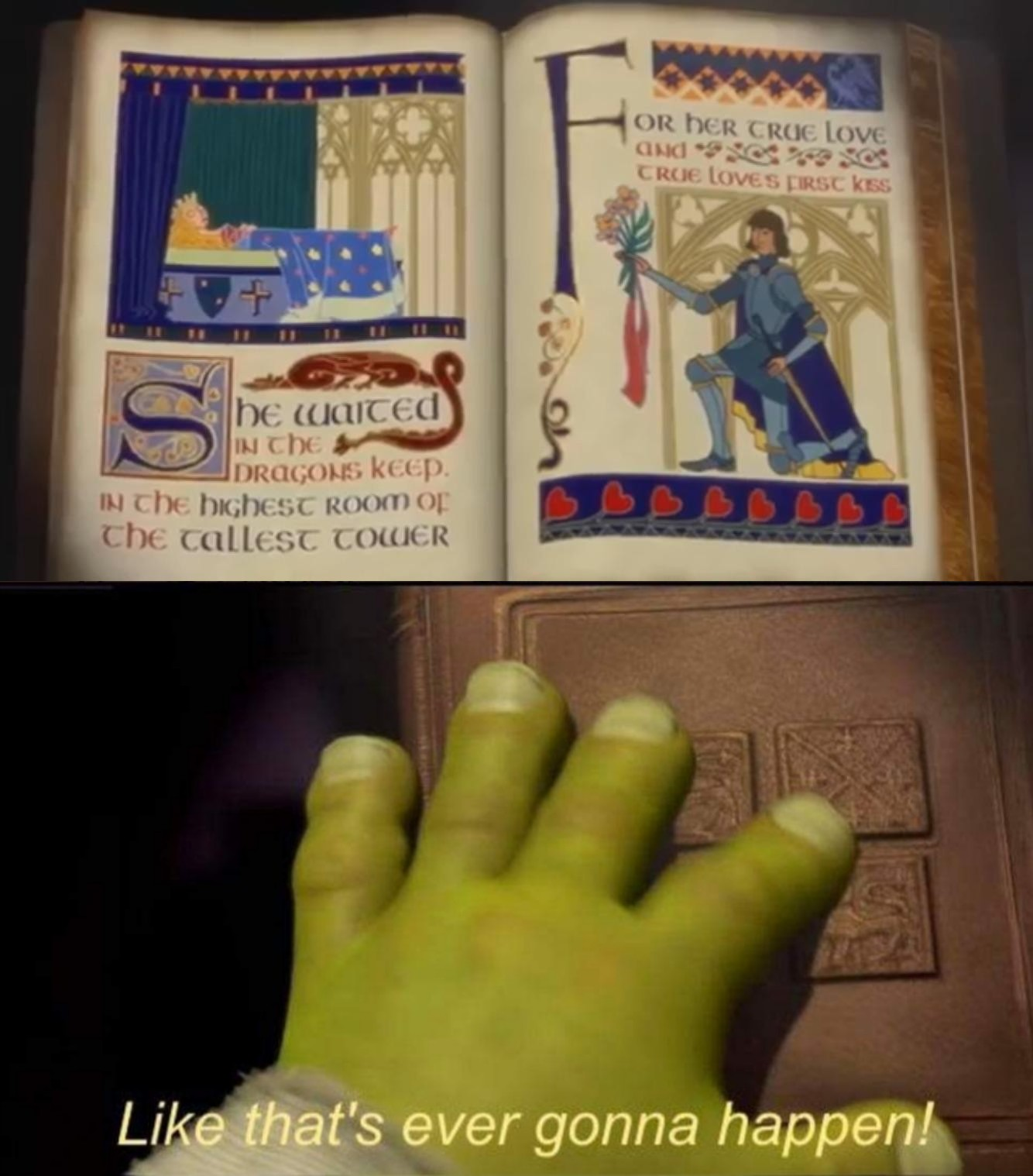 Shrek closing book meme template Blank Meme Template