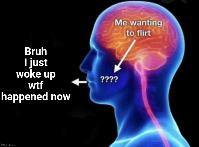 Me wanting to flirt | Bruh I just woke up wtf happened now | image tagged in me wanting to flirt | made w/ Imgflip meme maker