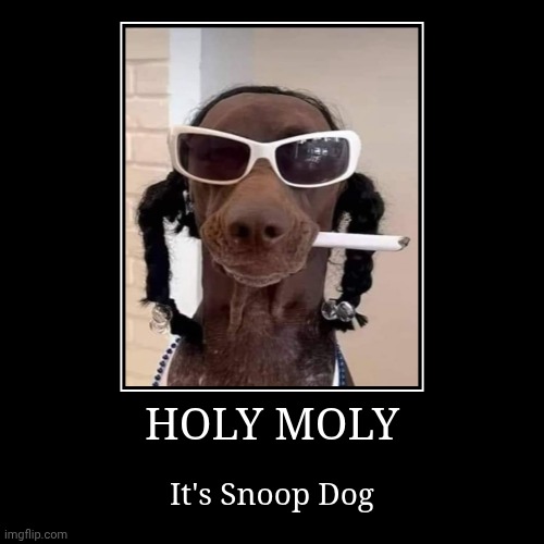HOLY MOLY | It's Snoop Dog | image tagged in funny,demotivationals | made w/ Imgflip demotivational maker