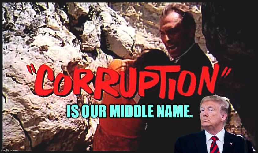 Corruption. Trump's business model, enriching himself. Bribery. | IS OUR MIDDLE NAME. | image tagged in corruption trump's business enriching himself bribe,trump,plane,qatar,bribe,corruption | made w/ Imgflip meme maker