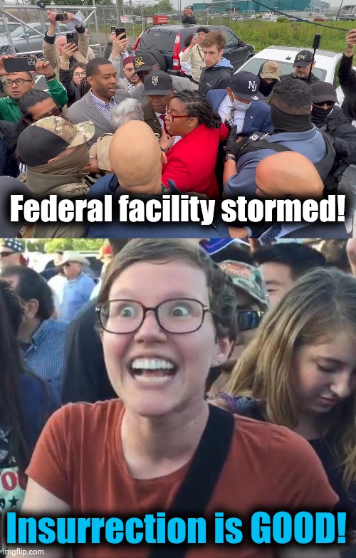 Federal agents assaulted, and democrats LOVE it! | Federal facility stormed! Insurrection is GOOD! | image tagged in happy liberal,meme,insurrection,ice,trump derangement syndrome,democrats | made w/ Imgflip meme maker