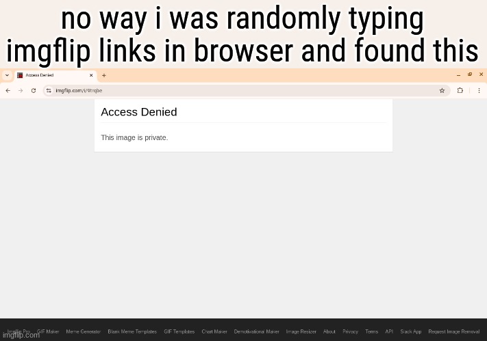 i got to a private image, cool right | no way i was randomly typing imgflip links in browser and found this | made w/ Imgflip meme maker