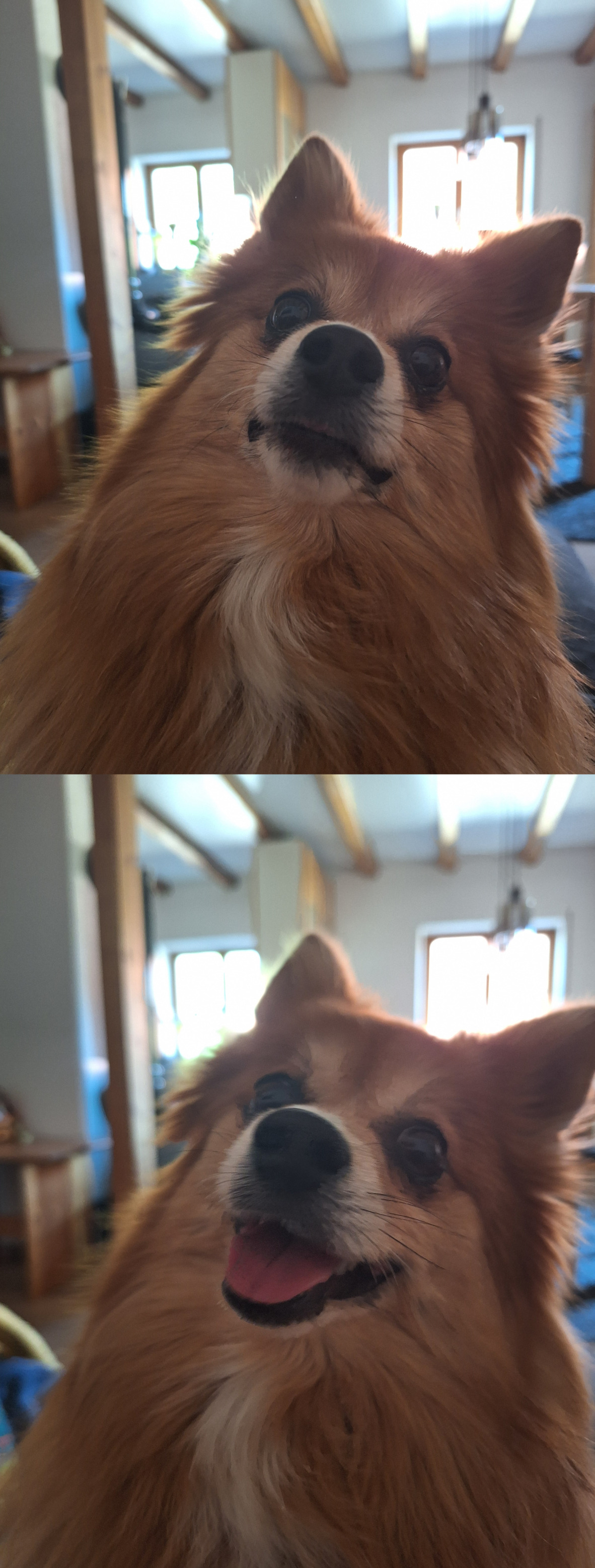 Mild Revenge Blank Meme Template