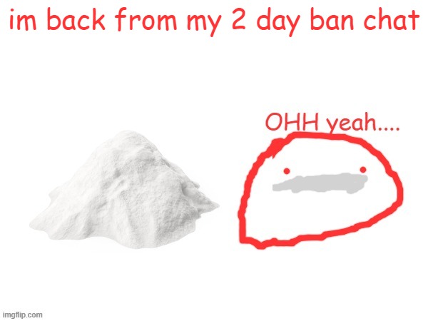 cocaina | im back from my 2 day ban chat | image tagged in cocaina | made w/ Imgflip meme maker