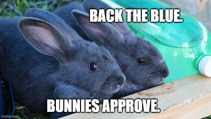 police keep us safe | BACK THE BLUE. BUNNIES APPROVE. | image tagged in police,all lives matter,conservative | made w/ Imgflip meme maker