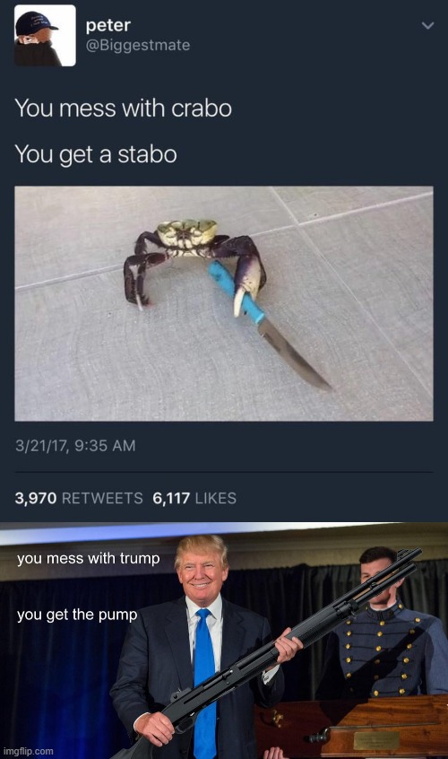 you mess with honk you get a bonk | image tagged in trump 2024,conservative,political memes | made w/ Imgflip meme maker