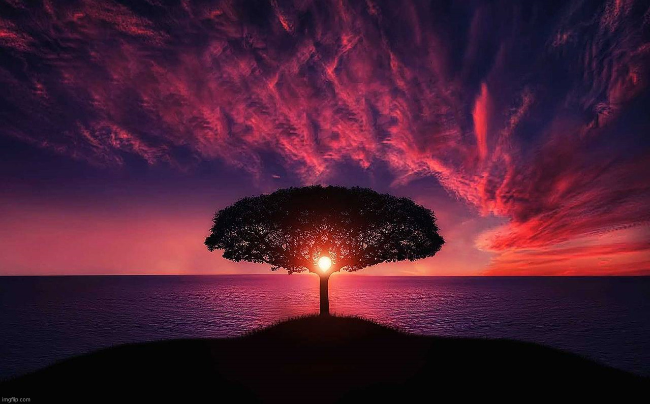 Nice sunset | image tagged in awesome | made w/ Imgflip meme maker