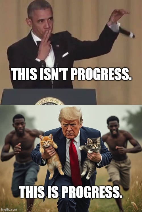 keep our neighborhoods safe | THIS ISN'T PROGRESS. THIS IS PROGRESS. | image tagged in obama mic drop,cats,trump | made w/ Imgflip meme maker