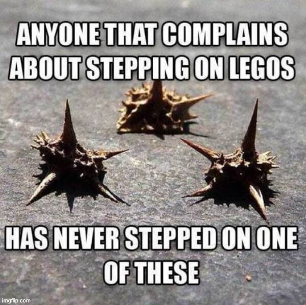 Want to step on these? | image tagged in repost | made w/ Imgflip meme maker