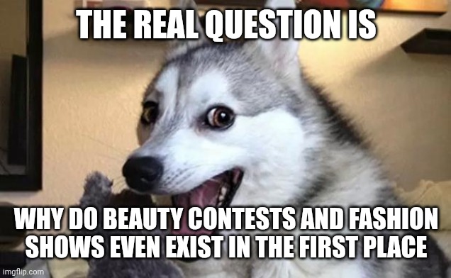 Pun dog - husky | THE REAL QUESTION IS WHY DO BEAUTY CONTESTS AND FASHION SHOWS EVEN EXIST IN THE FIRST PLACE | image tagged in pun dog - husky | made w/ Imgflip meme maker