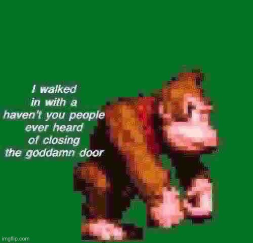 DK goddamn door | image tagged in dk goddamn door | made w/ Imgflip meme maker