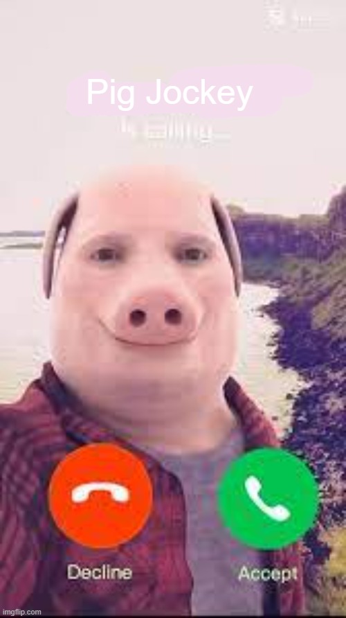 now get ready for... | Pig Jockey | image tagged in john pork,technoblade,pig jockey,chicken jockey,john chicken | made w/ Imgflip meme maker