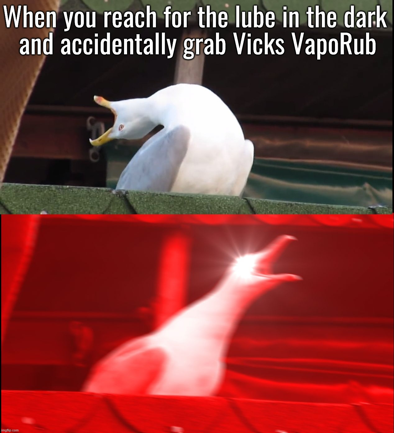 So much pain | When you reach for the lube in the dark 
and accidentally grab Vicks VapoRub | image tagged in screaming bird | made w/ Imgflip meme maker