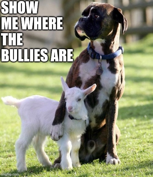 Show Me Where The Bullies Are | SHOW ME WHERE THE BULLIES ARE | image tagged in chrisjoines1 | made w/ Imgflip meme maker