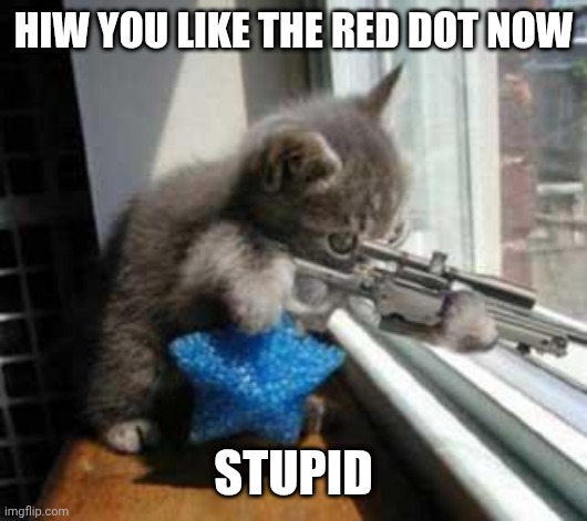 CatSniper | HIW YOU LIKE THE RED DOT NOW; STUPID | image tagged in catsniper | made w/ Imgflip meme maker