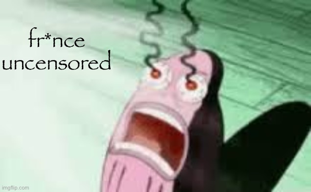 BURNING | fr*nce uncensored | image tagged in burning | made w/ Imgflip meme maker