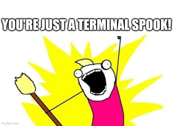 X All The Y | YOU'RE JUST A TERMINAL SPOOK! | image tagged in memes,x all the y | made w/ Imgflip meme maker