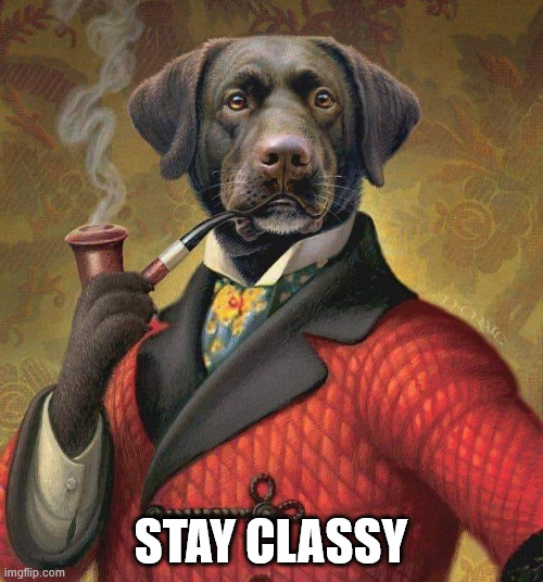 STAY CLASSY | made w/ Imgflip meme maker
