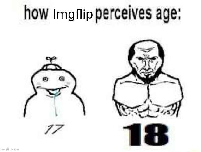 Imgflip | made w/ Imgflip meme maker