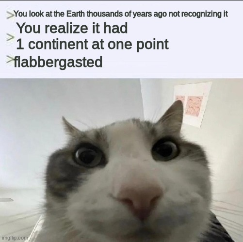 Cat looks inside | You look at the Earth thousands of years ago not recognizing it; You realize it had 1 continent at one point; flabbergasted | image tagged in cat looks inside | made w/ Imgflip meme maker