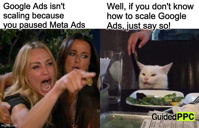 Can't scale Google Ads? Well, just blame Meta Ads | Google Ads isn't scaling because you paused Meta Ads; Well, if you don't know 
how to scale Google
Ads, just say so! | image tagged in memes,woman yelling at cat,google ads,youtube ads,facebook ads | made w/ Imgflip meme maker