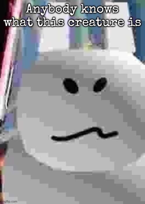 gubby | Anybody knows what this creature is | image tagged in gubby | made w/ Imgflip meme maker
