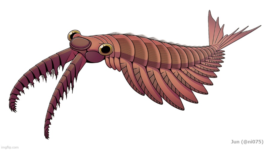 image tagged in anomalocaris | made w/ Imgflip meme maker