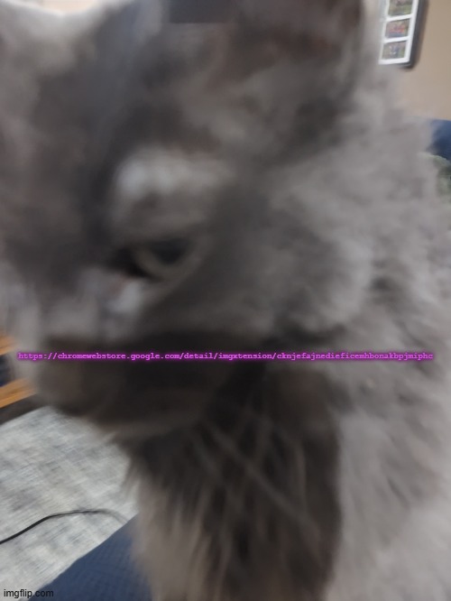 . | https://chromewebstore.google.com/detail/imgxtension/cknjefajnedieficemhbonakbpjmiphc | image tagged in imgextension,pc only,no firefox version atm | made w/ Imgflip meme maker