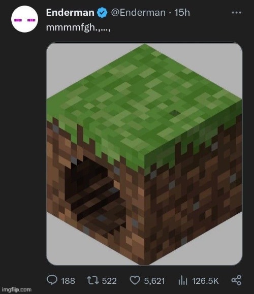image tagged in minecraft | made w/ Imgflip meme maker
