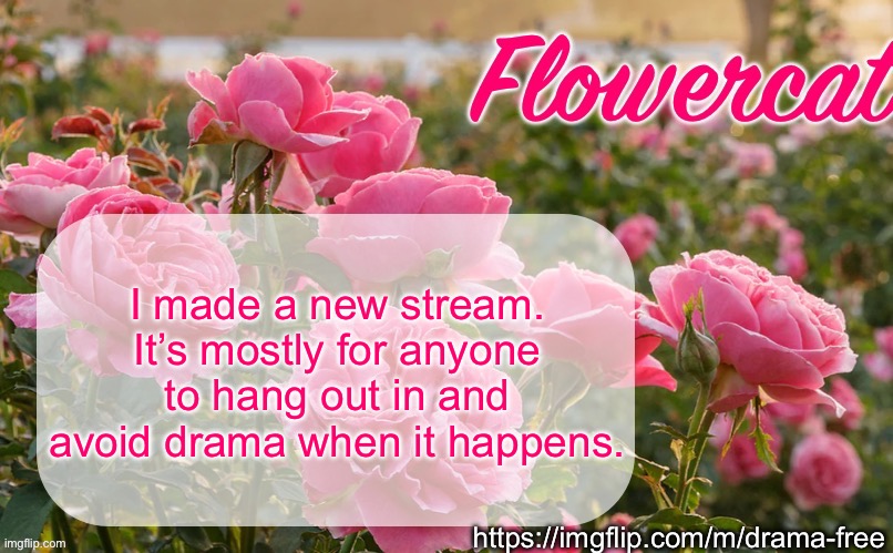 https://imgflip.com/m/drama-free | I made a new stream. It’s mostly for anyone to hang out in and avoid drama when it happens. https://imgflip.com/m/drama-free | image tagged in flowercat template | made w/ Imgflip meme maker