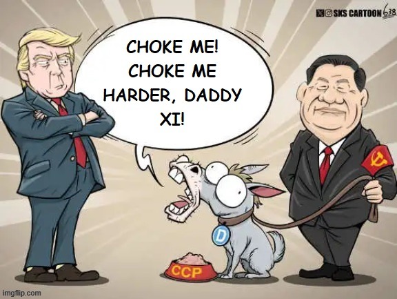 Dems/leftists sure do love their fetishes and kinks. . . | image tagged in xi jinping,democrats,political meme,political humor | made w/ Imgflip meme maker