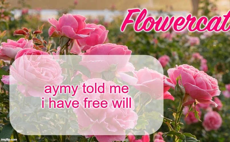 Flowercat template | aymy told me i have free will | image tagged in flowercat template | made w/ Imgflip meme maker