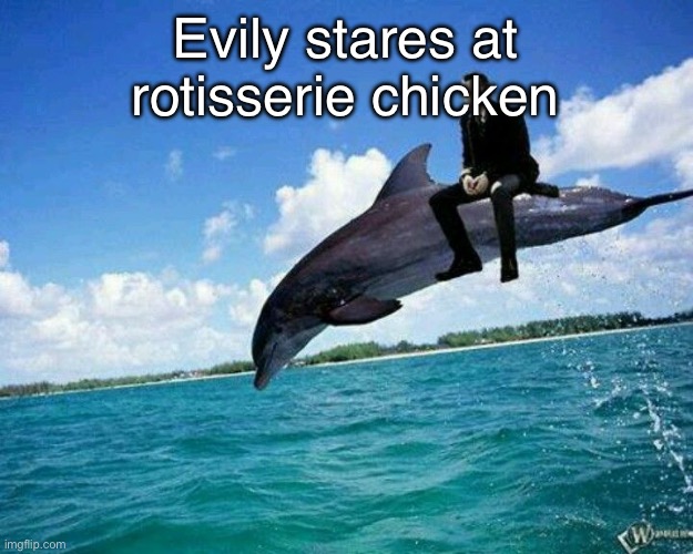 What the hell | Evily stares at rotisserie chicken | image tagged in what the hell | made w/ Imgflip meme maker