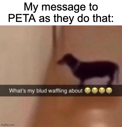 What's my blud waffling about | My message to PETA as they do that: | image tagged in what's my blud waffling about | made w/ Imgflip meme maker