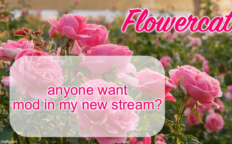 You gotta be at least semi-active but if you ask I’ll give it to you | anyone want mod in my new stream? | image tagged in flowercat template | made w/ Imgflip meme maker